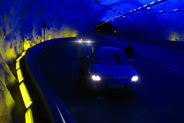 Лердальский туннель фото